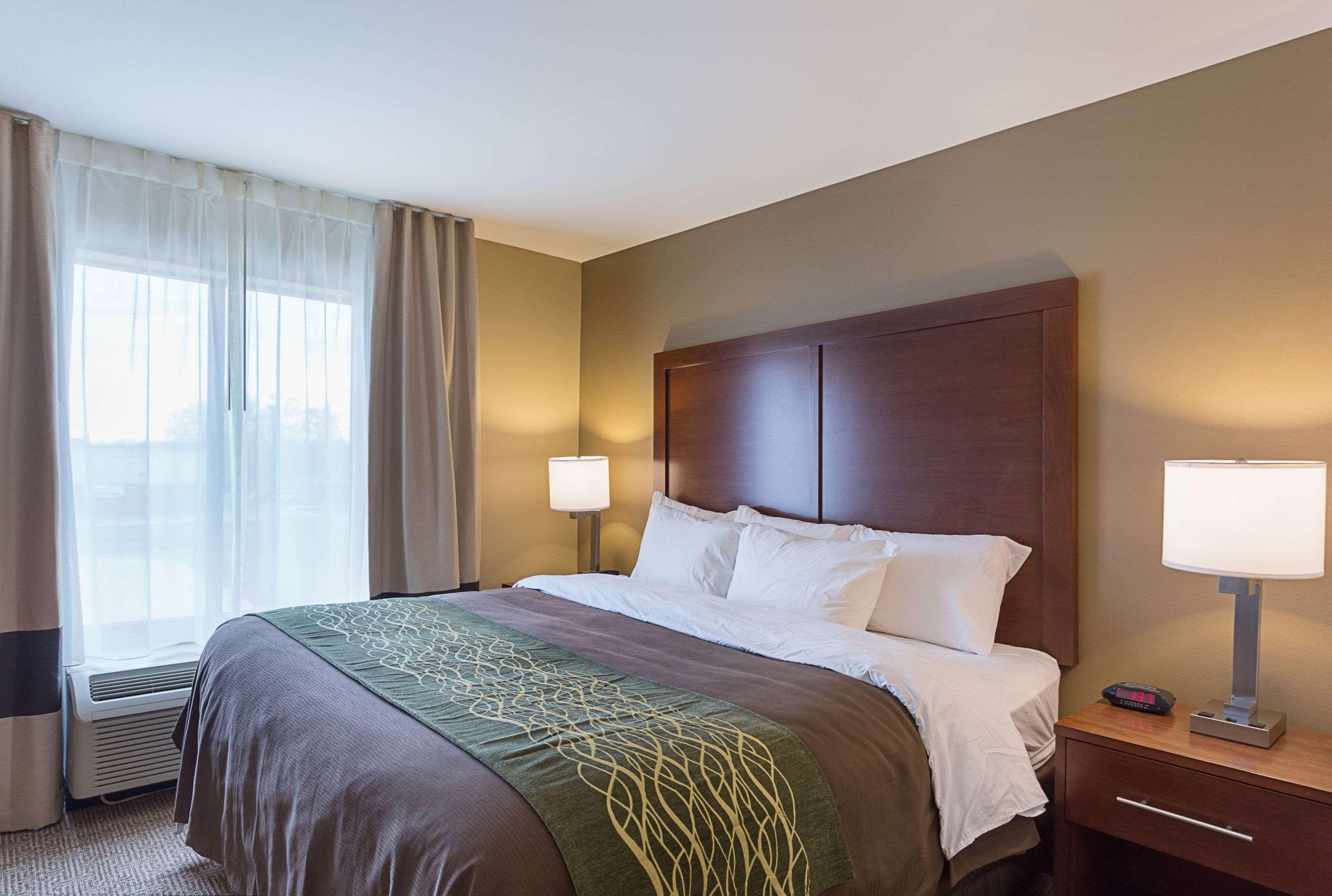 Comfort Inn & Suites Zachary Extérieur photo