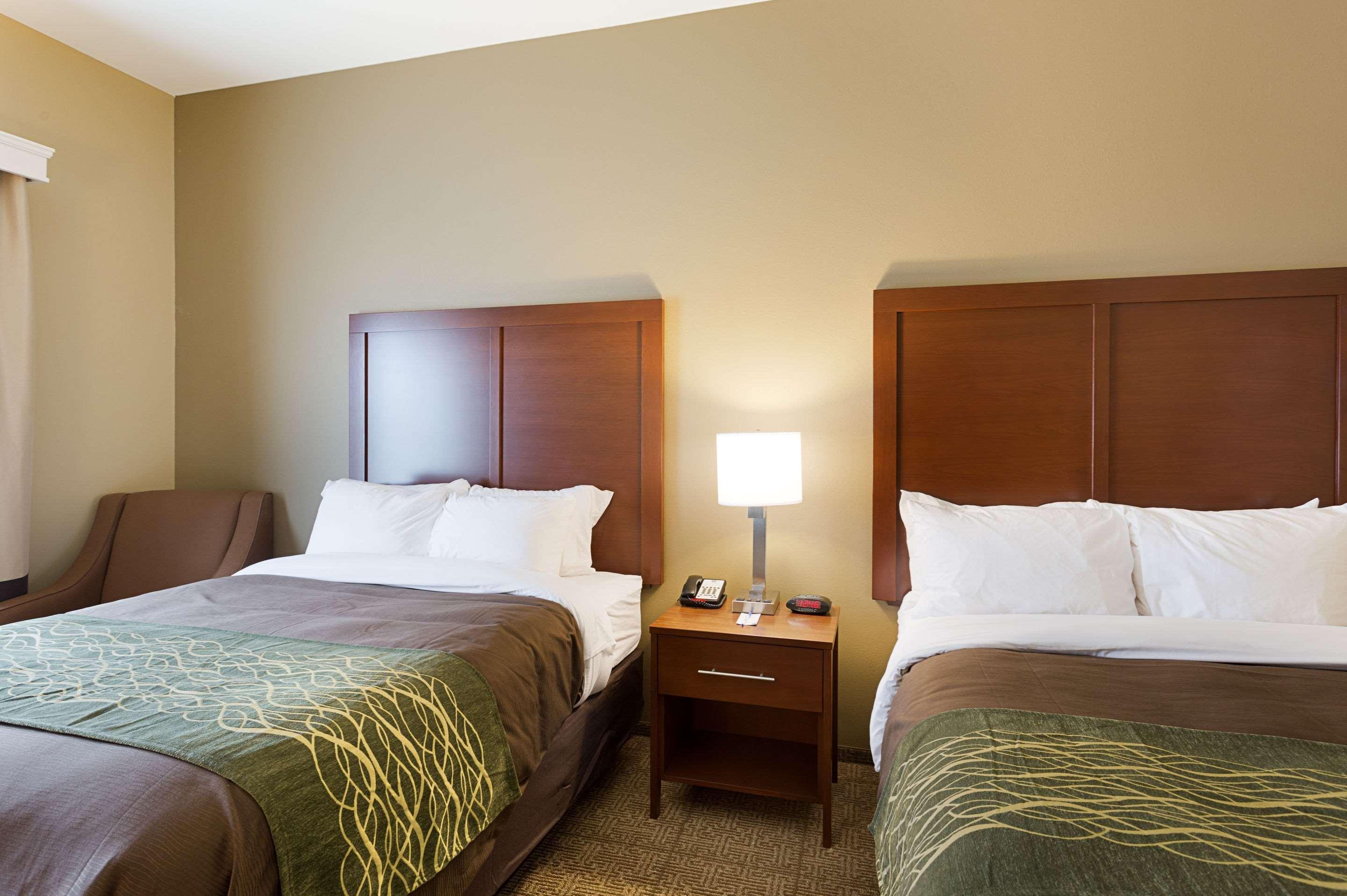 Comfort Inn & Suites Zachary Extérieur photo