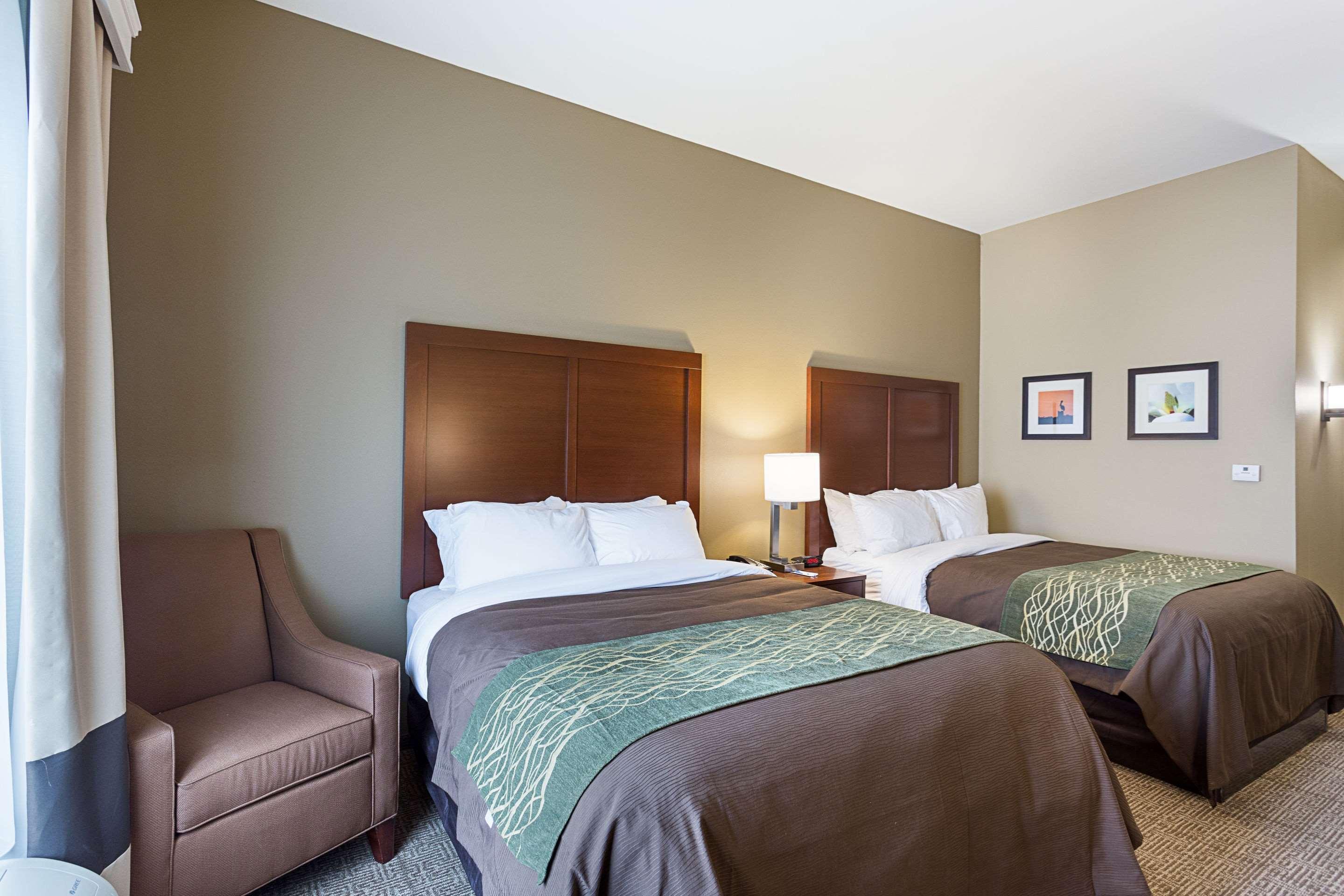 Comfort Inn & Suites Zachary Extérieur photo