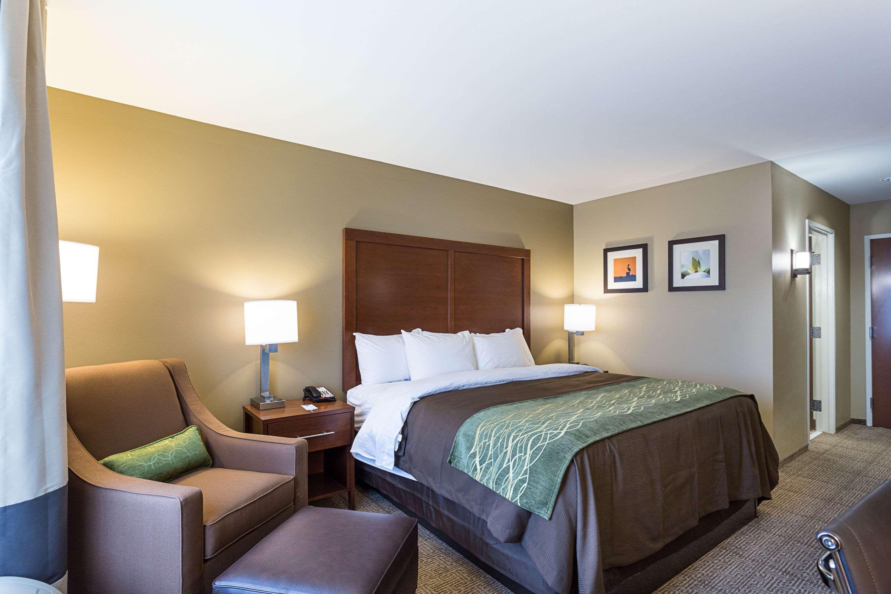 Comfort Inn & Suites Zachary Extérieur photo